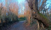Trail Walking Hamoir - comblain la tour . hoyemont . oneux . comblain la tour - Photo 15