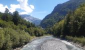 Trail Walking Samoëns - Samoens . gorges des tines - retour  - Photo 16