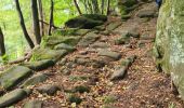 Excursión Senderismo Eckartswiller - Saint-Michel & Daubenschlag - Photo 15