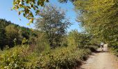 Tocht Stappen La Roche-en-Ardenne - La Roche-en-Ardenne - Photo 9