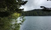 Trail Walking Besse-et-Saint-Anastaise - Lac Pavin et Lac de Moncynère - Photo 4