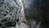 Excursión Senderismo Cheval-Blanc - les gorges du regalon - Photo 7