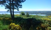 Percorso Marcia Naussac-Fontanes - 210614 - Les Balcons du Lac - Photo 1