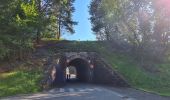 Trail Walking Wingen-sur-Moder - La Pierre des 12 Apôtres - Photo 1