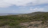 Tocht Stappen Le Marin - Cap Macré -Macabou par les mornes  - Photo 5