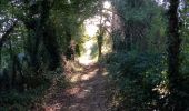 Trail Walking Lalinde - Lalinde 13km - Photo 1