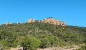 Tocht Stappen Saint-Raphaël - Rando des Etangs - Photo 18