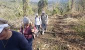 Trail Walking Callian - Callian ,le vallon de la Camiole - Photo 2
