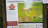 Percorso Marcia Le Thillot - Col des Croix - Vierge des Neiges - Hautes Mines - Tête des Noirs Étangs - Château Lambert - Photo 14