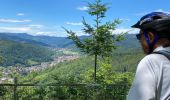 Excursión Bici de montaña Steinbach - Rocher Albert + Molkenrain  - Photo 3