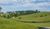 Tour Wandern Loitsch - Rovte, Rovte, Slovenija - Photo 1