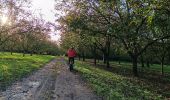 Tocht Wegfiets Beaulieu - Beaulieu - Cognin par la pisciculture  - Photo 8