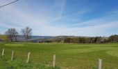 Tour Wandern Stablo - UTDS Coo - Stavelot  - Photo 1