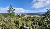 Excursión Senderismo Bollène - SityTrail - RS Barry Chabrières 7,5km - Photo 2