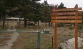 Trail Walking Escragnolles - hameau de Clars avec Toto - Photo 2