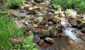 Percorso Marcia Xonrupt-Longemer - 28-05-22 Longemer vers cascade et chemin des Dames - Photo 3