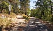 Trail Walking Mirabel-et-Blacons - Chapelle Saint-Christophe - Charsac - Photo 2