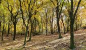 Tour Wandern Cabrières-d'Aigues - le Mourre Nègre - Photo 14