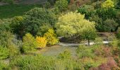 Tour Wandern Saignon - Saignon - Apt - Photo 7