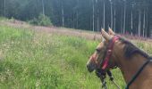 Trail Horseback riding Dabo - Tour de dabo Tivio Joyeux  - Photo 3