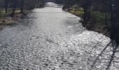 Tour Wandern La Roche-en-Ardenne - rando ornitho warempage 24/02/2021 - Photo 3