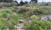 Trail  Castillon - Grammondo 3 - Photo 6