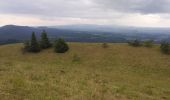 Trail Walking Orcines - Ballade au Puy de Cōme - Photo 8