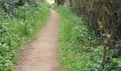 Trail Walking Hillion - Hillion - Photo 5
