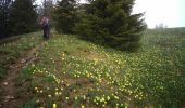 Trail Walking Chézery-Forens - Chezery Crêt Chalam (IBP 95) 7 mai 2021 CAF - Photo 2