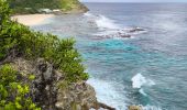 Trail Walking Anse-Bertrand - Guadeloupe - Pointe de la Petite Vigie à Pointe de la Grande Vigie - Photo 1