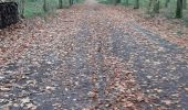 Tocht Stappen Le Rœulx - Le Roeulx adeps 191123 - Photo 1