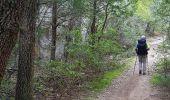Trail Walking Cuges-les-Pins - cuges les pins le driou - Photo 8