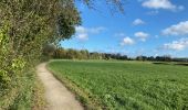 Tour Wandern Oud-Heverlee - S-GR Dijleland: Sint-Joris-Weert - Leuven - Photo 13