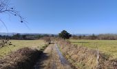 Excursión Senderismo Périgneux - Boucle Marieux-La Gare-Nus - Photo 8