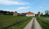 Excursión A pie Freudenberg - Rundwanderweg Rauenberg, Ra1, Birkwiesen-Weg - Photo 4