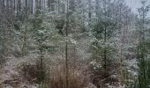 Tour Wandern La Roche-en-Ardenne - rando warempage 10/12/2020 - Photo 10
