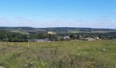 Excursión Senderismo Durbuy - borlon _ durbuy  ( calme des bois et campagnes , traversée  d' une ville touristique......) - Photo 1