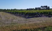 Tocht Stappen Saint-Laurent-Médoc - autour de Pauillac  - Photo 1