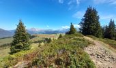 Tour Wandern Manigod - ARAVIS: PLATEAU DE BEAUREGARD - Photo 16