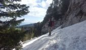 Tocht Stappen Entremont-le-Vieux - Sommet Pinet à partir de la Balme - Photo 4