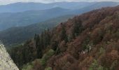 Tocht Stappen Munster - Tour vallée munster  - Photo 4