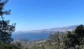 Trail Walking Le Pradet - Fort bayarde - Photo 4