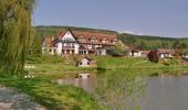 Tour Zu Fuß Rieneck - Roter Hase, Rundwanderweg Rieneck - Photo 4