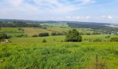 Tocht Te voet Vallée de l'Ernz - E6 - Ermsdorf - Photo 3