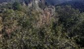 Tocht Stappen Saint-Maurice-Navacelles - Le randas st guilhem le désert  - Photo 5