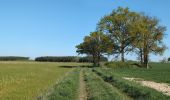 Trail Walking Sonzay - Sonzay - PRs - 13.6km 125m 3h10 (1h00) - 2025 04 09 - Photo 3