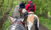 Trail Horseback riding Theux - Ninglinspo  - Photo 9