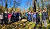 Trail Walking Yerres - Rando Yerres Crosne Brunoy 12,5 km - Photo 2
