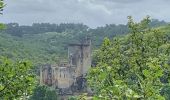 Trail Walking Les Eyzies - Sireuil Colmar que - Photo 3