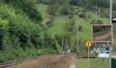 Tour Zu Fuß Niederstetten - Liebliches Taubertal 24 Vorbach - Photo 3